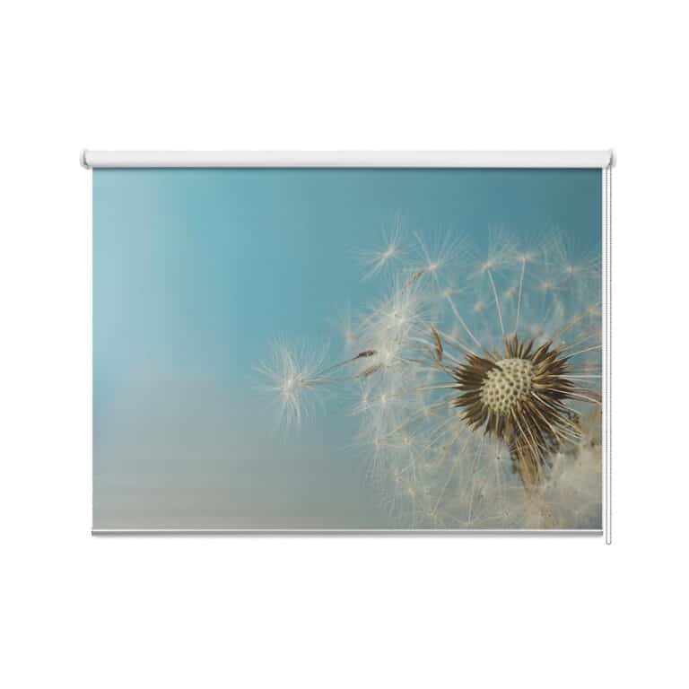 Rolgordijn Paardenbloem in de wind