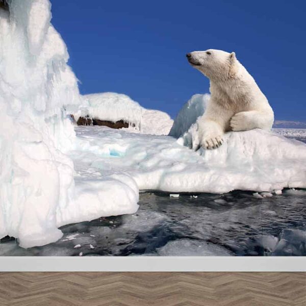 Fotobehang IJsbeer op ijsschots