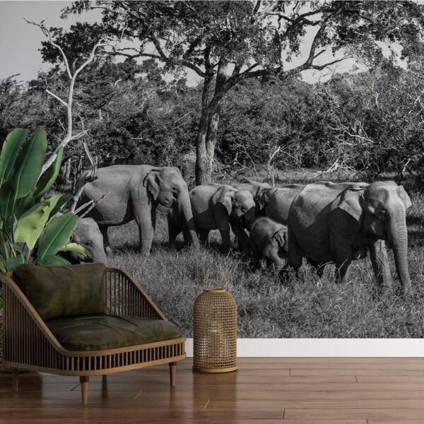 Fotobehang Kudde olifanten zwartwit