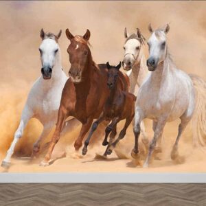 Fotobehang Galopperende paarden met veulen
