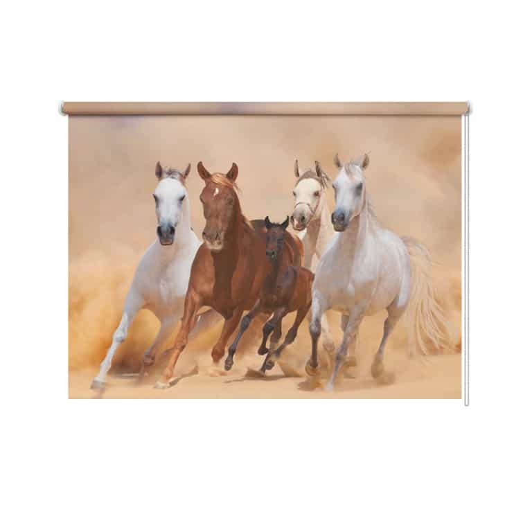 Rolgordijn Galopperende paarden met veulen