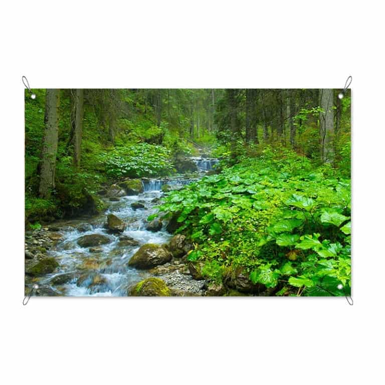 Tuinposter Bos en beek