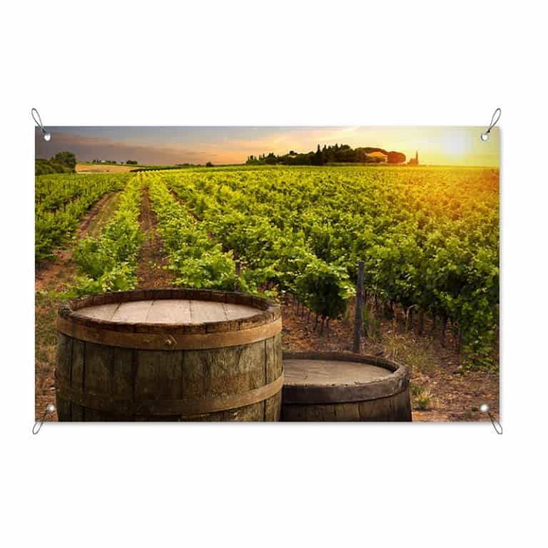 Tuinposter Wijnvaten in de wijngaard