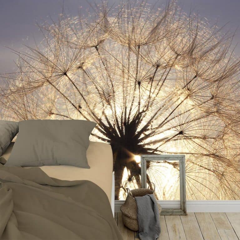 Fotobehang Dandelion in avondschemer