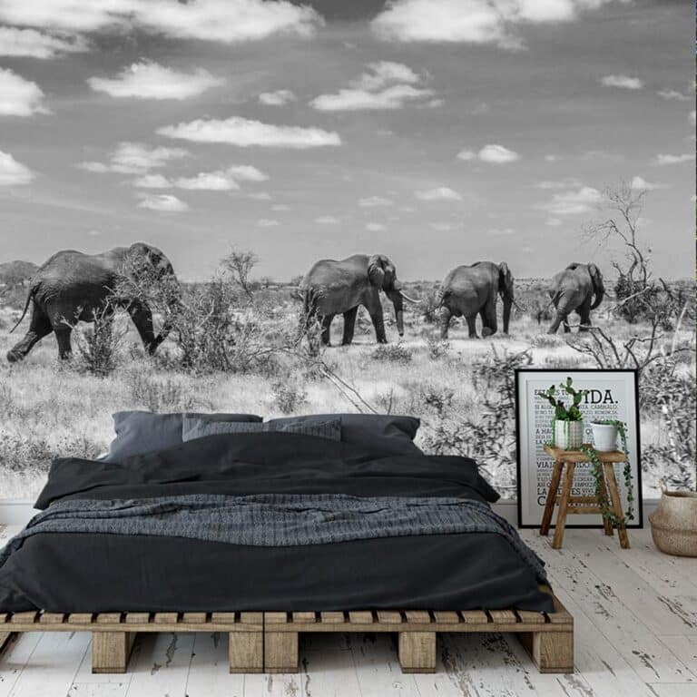 Fotobehang Olifanten in Afrika zwartwit