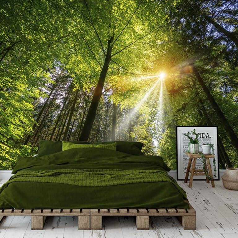 Fotobehang Zonnestralen in het bos