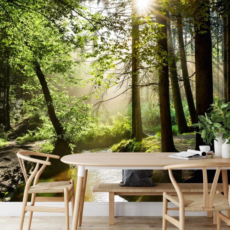 Fotobehang Stroompje in het bos