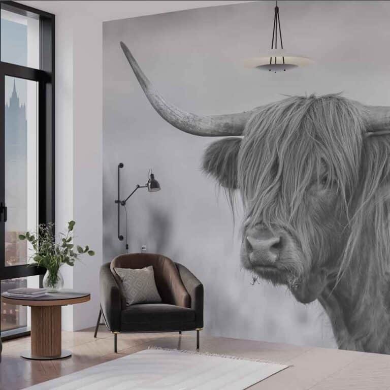Fotobehang Schotse hooglander koe - Fotobehang koe