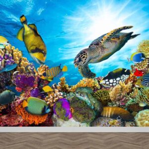 Fotobehang Tropische onderwater wereld
