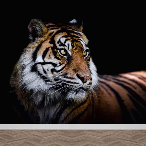 Fotobehang Sumatraanse tijger