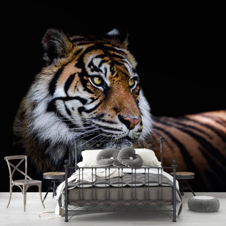 Fotobehang Sumatraanse tijger