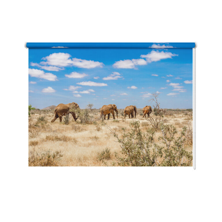 Rolgordijn Olifanten in Afrika
