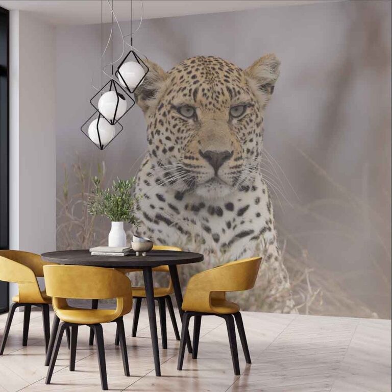 Fotobehang Luipaard op wacht