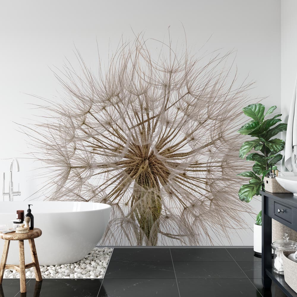 Badkamer behang Dandelion op witte achtergrond