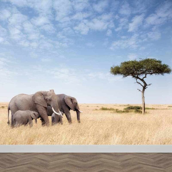 Fotobehang Gezellige olifanten familie