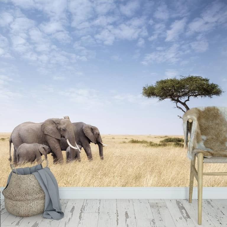 Fotobehang Gezellige olifanten familie