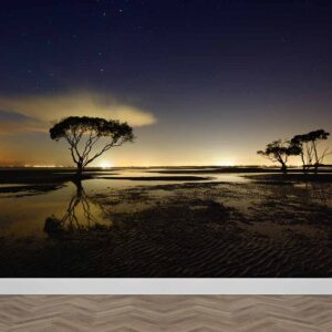 Fotobehang Zonsondergang op de savanne