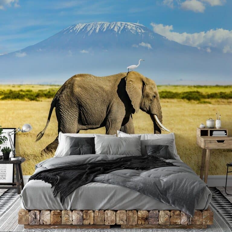 Fotobehang Olifant met vogel