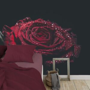 Fotobehang Rode roos met waterdruppels