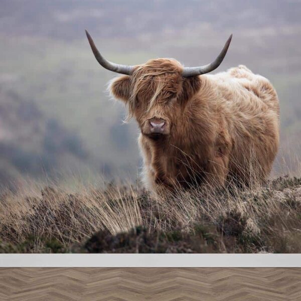 Fotobehang Schotse hooglander close up kleur
