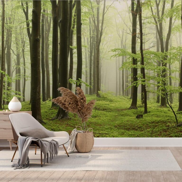 Fotobehang Ochtendwandeling in bos