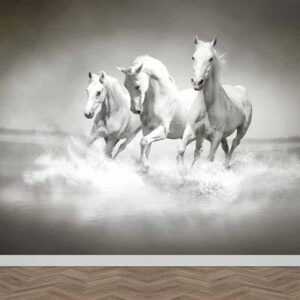Fotobehang Witte paarden in water
