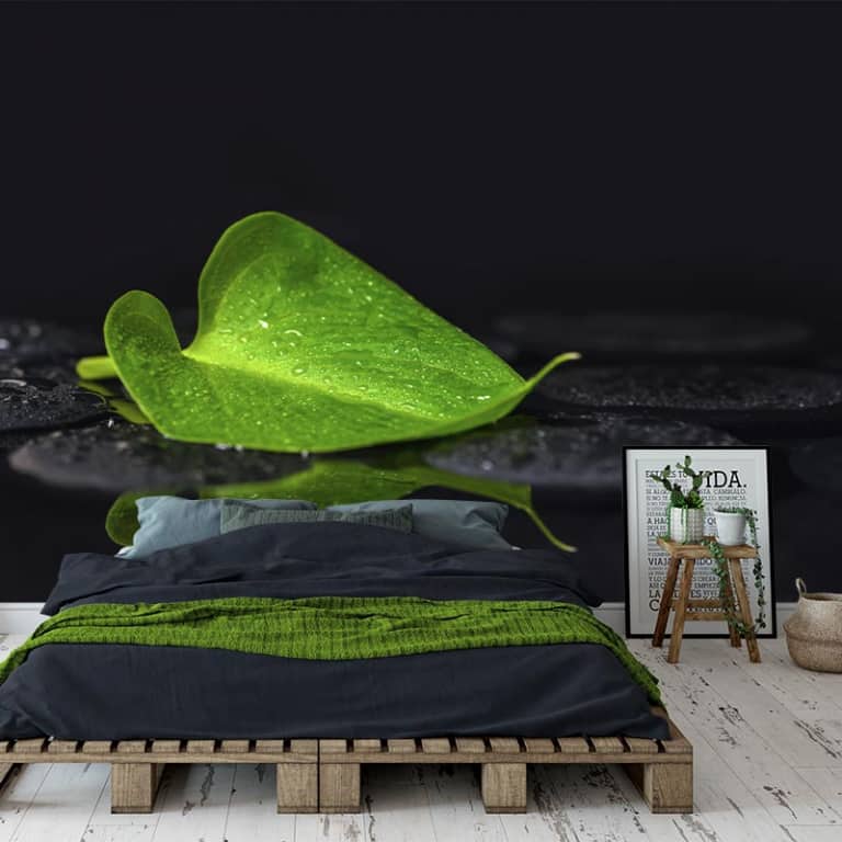 Fotobehang Groen blaadje in water