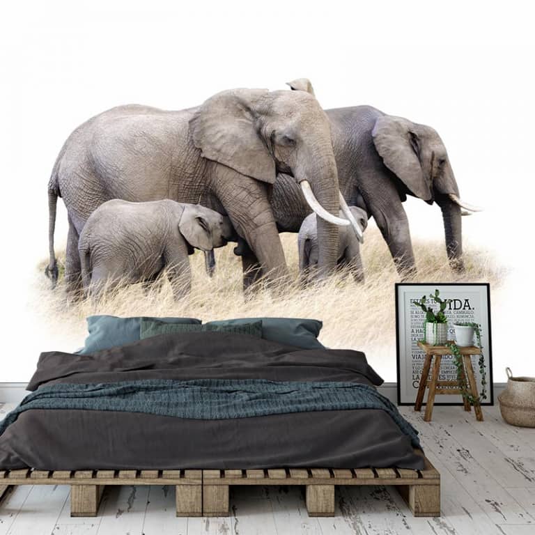 Fotobehang Olifanten familie witte achtergrond