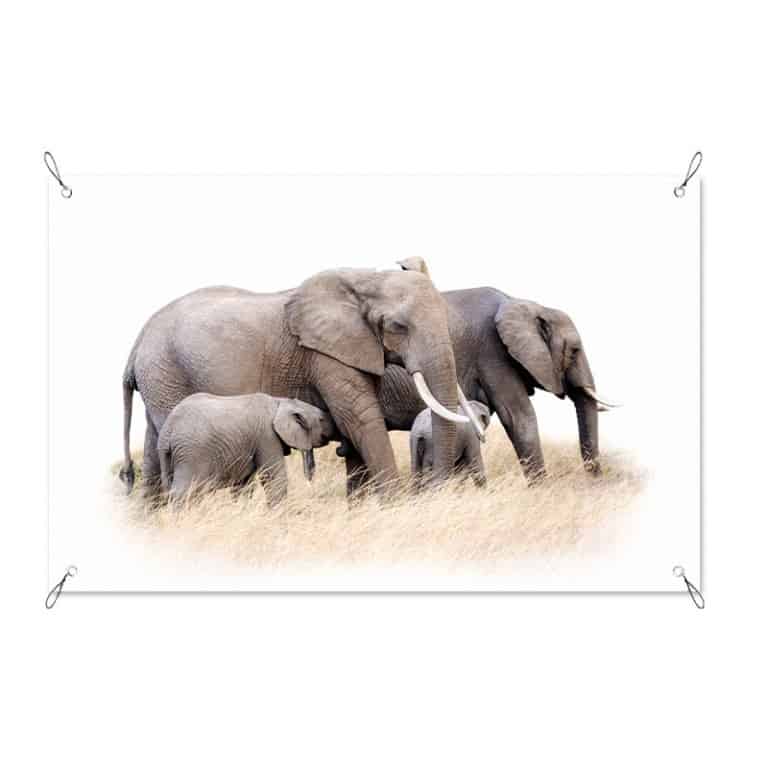 Tuinposter Olifanten familie witte achtergrond