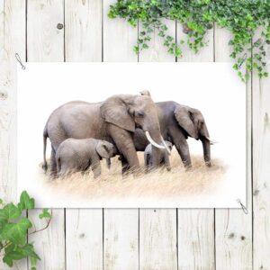 Tuinposter Olifanten familie witte achtergrond