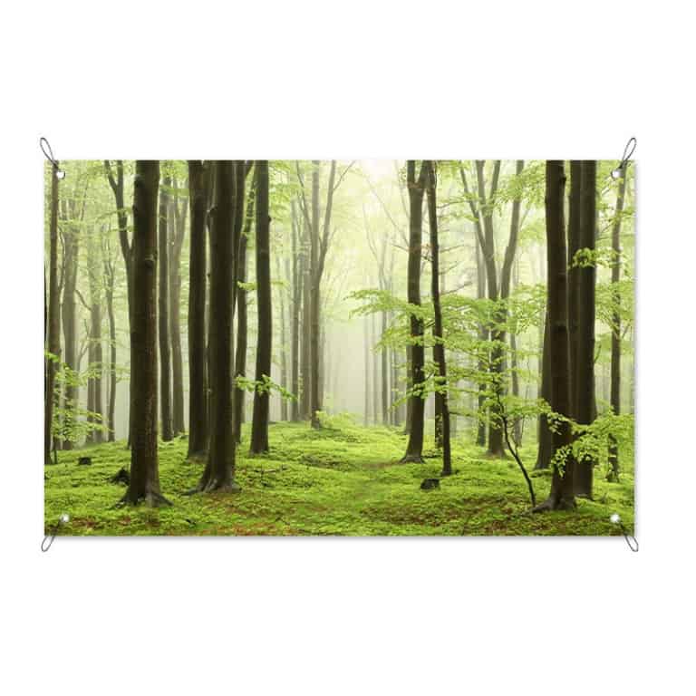 Tuinposter Ochtendwandeling in bos