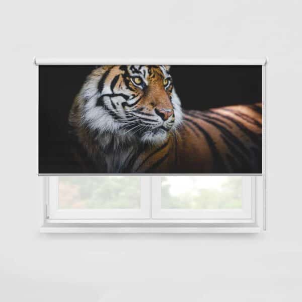 Rolgordijn Sumatraanse tijger