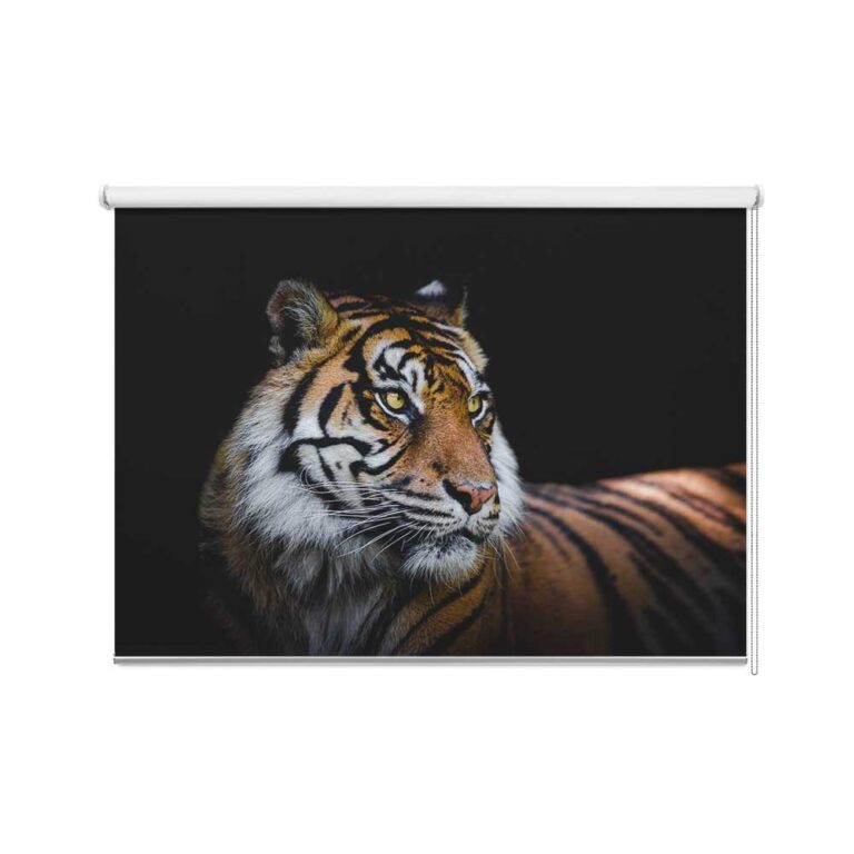 Rolgordijn Sumatraanse tijger