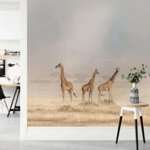 Fotobehang 3 giraffen op savanne