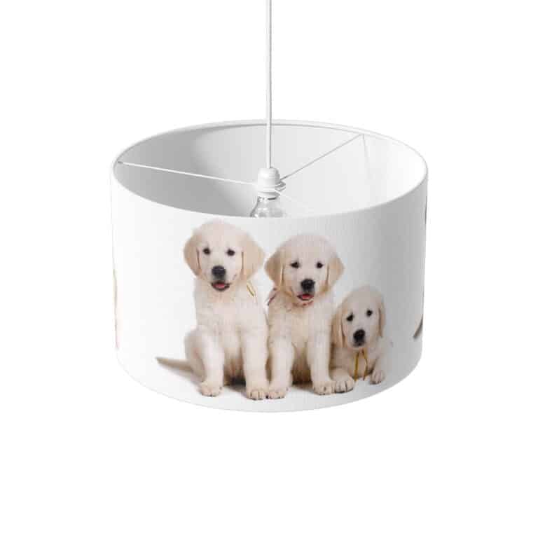 Lampenkap Labrador pups