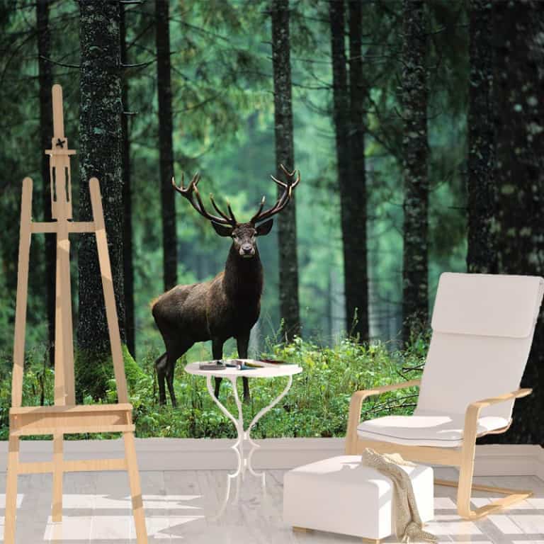 Fotobehang Damhert in bos