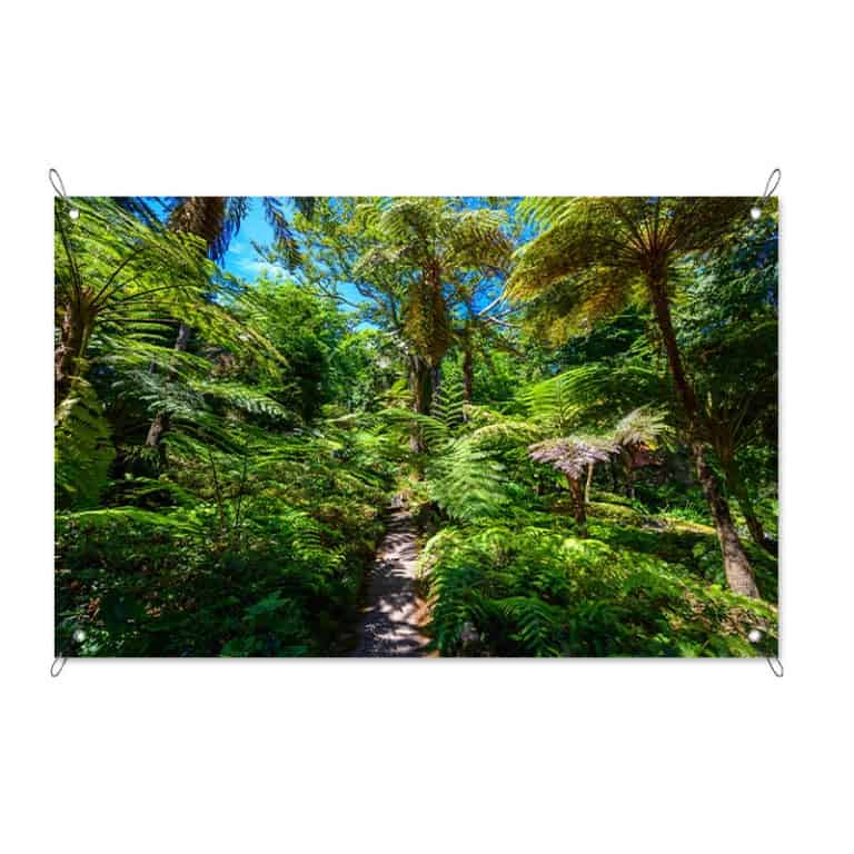 Tuinposter Pad in de jungle