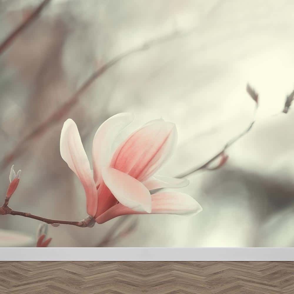 Fotobehang Magnolia bloem