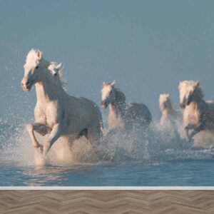 Fotobehang Galopperende paarden in water