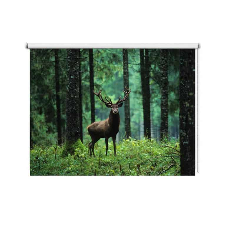 Rolgordijn Damhert in bos
