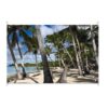 tuinposter palmbomen op het strand