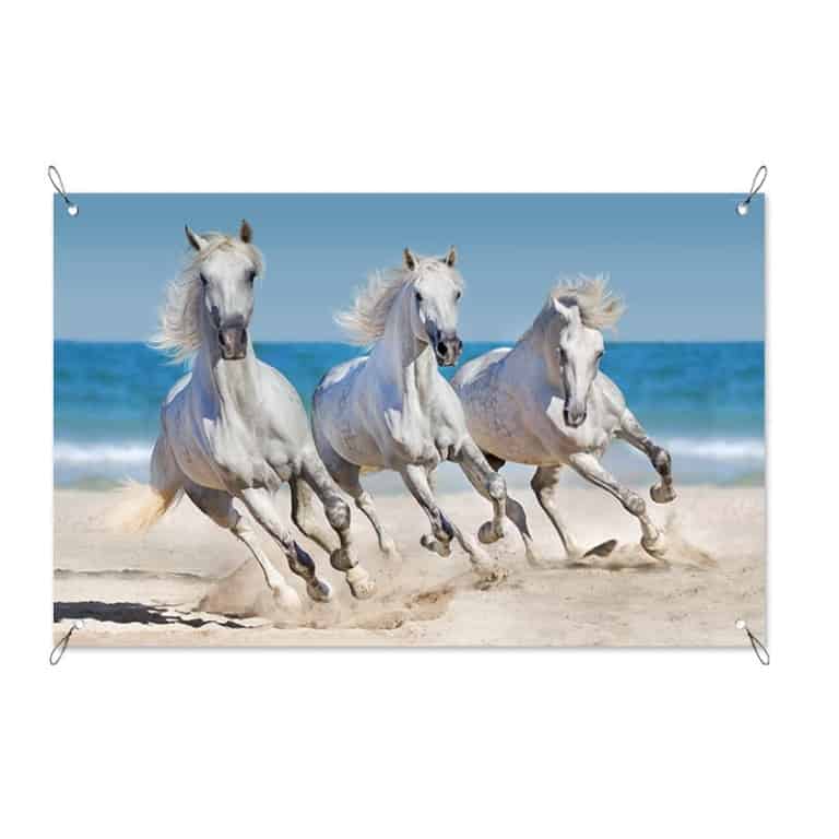 tuinposter paarden op het strand