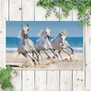 tuinposter paarden op het strand