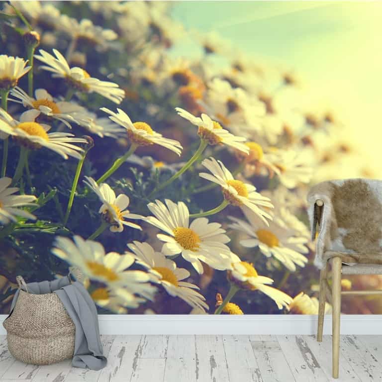 fotobehang vintage margrieten