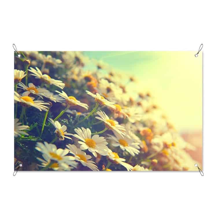 tuinposter vintage margrieten