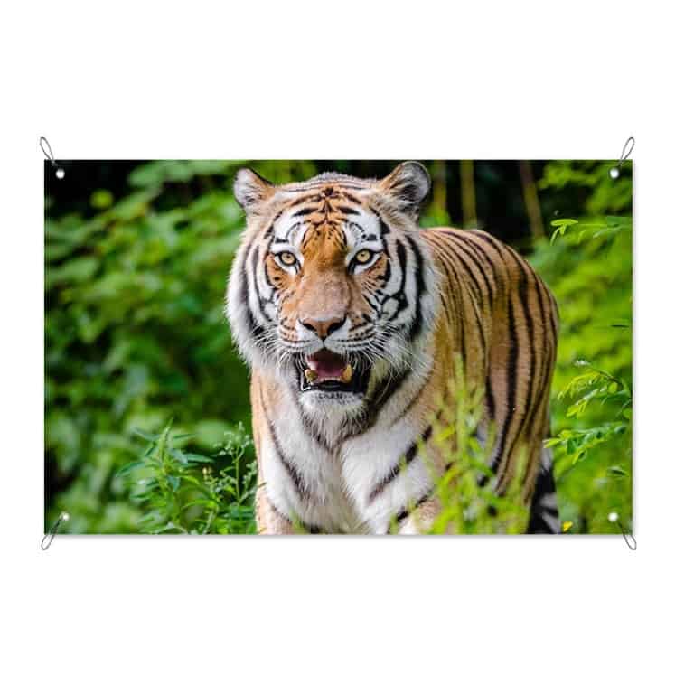 tuinposter pas op tijger
