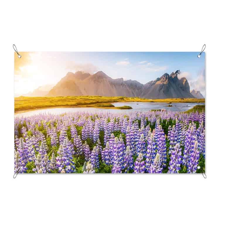 Tuinposter lupine bloemenzee