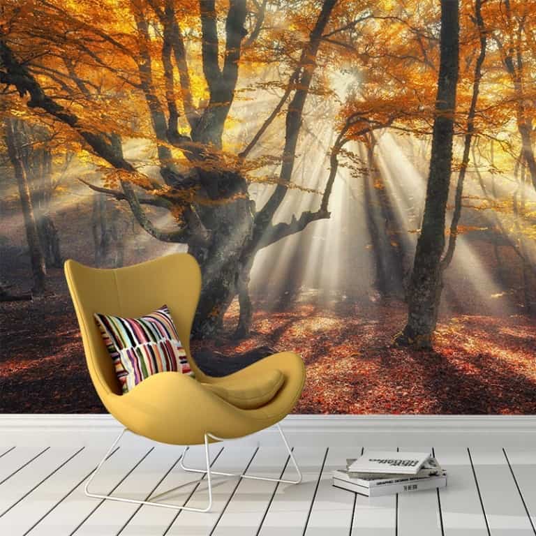 fotobehang zon in het herfstbos