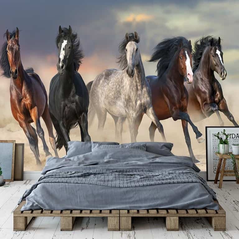 Fotobehang Paarden in galop - paarden behang - fotobehang dieren - dieren behang - dieren fotobehang