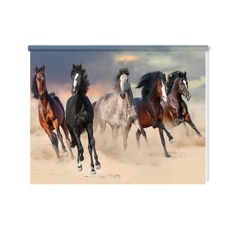 rolgordijn paarden in galop